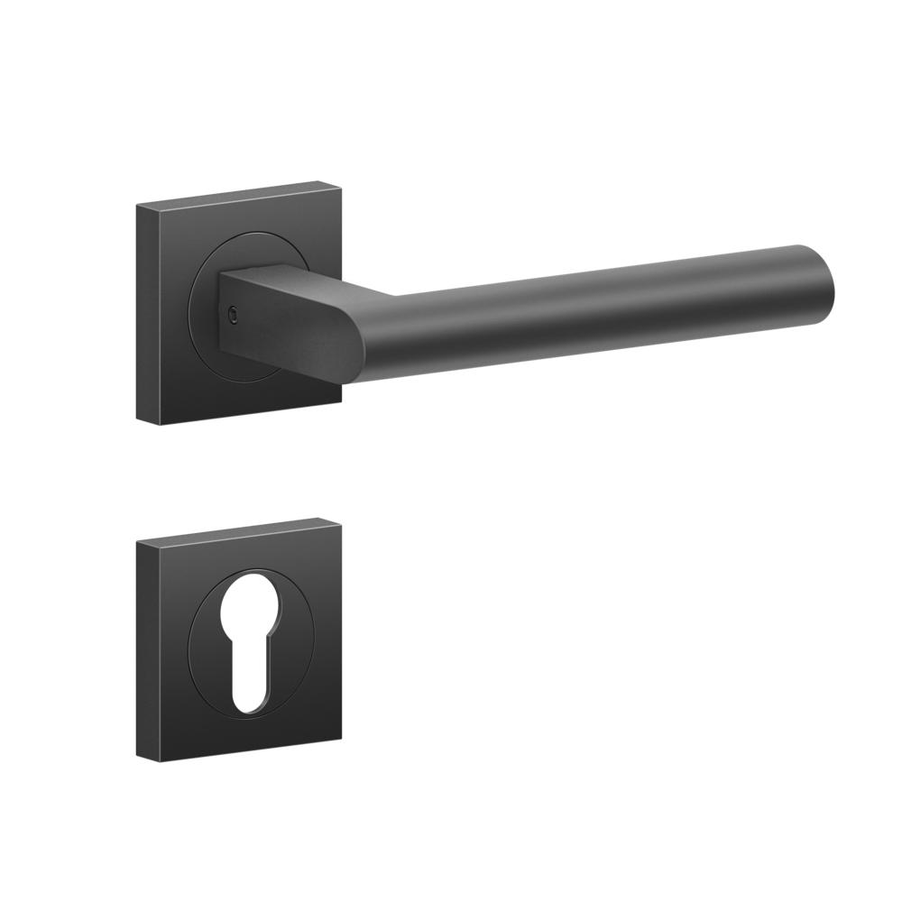 Poignée De Porte Sur Plaque Aspect Nickel Entraxe 195 Mm Clé En L DAREN X2 25072378